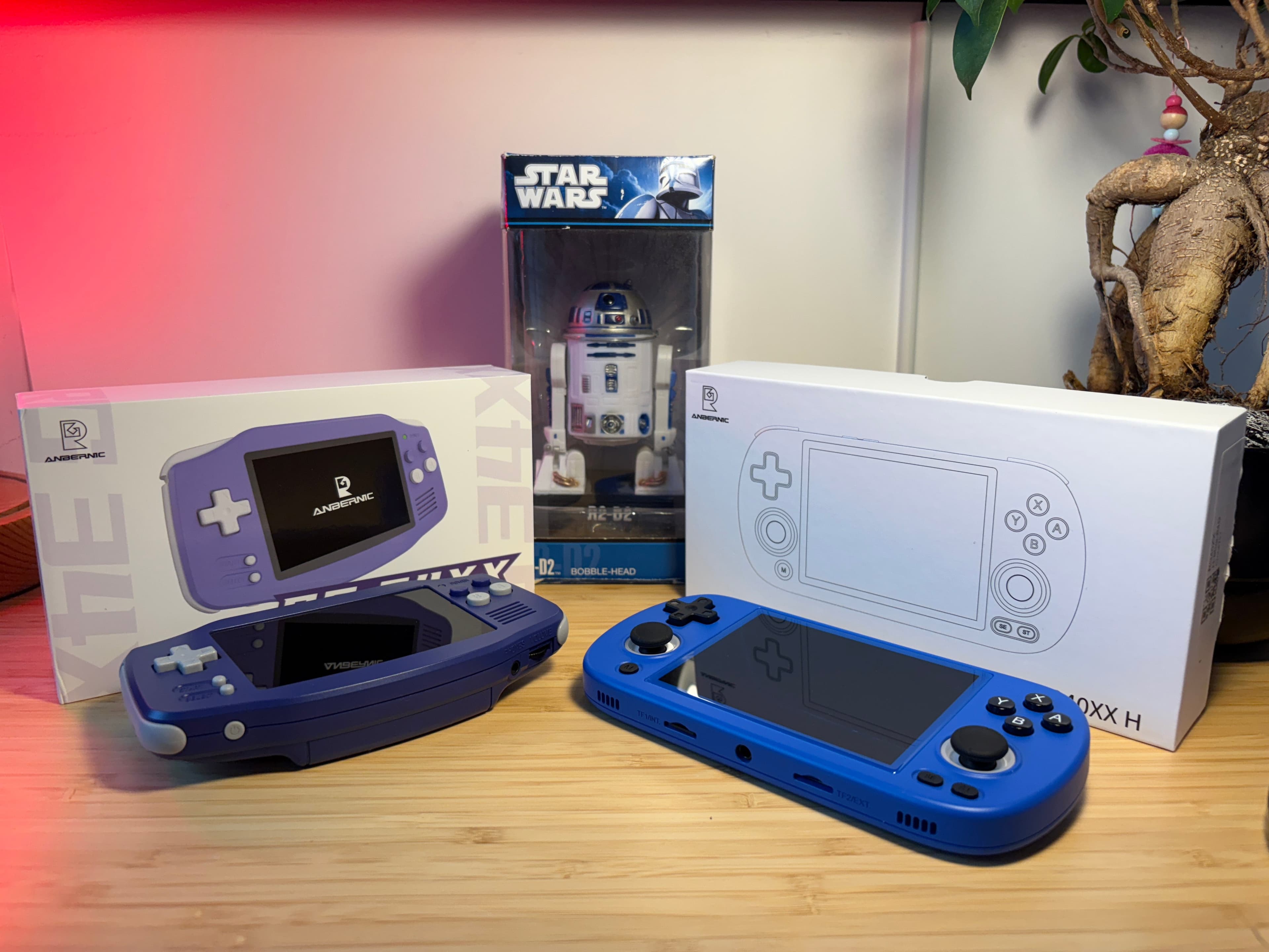 Twee retro handhelds van RetroGear in display van Anbernic RG34XX en RG40XXH in indigo en blauw.