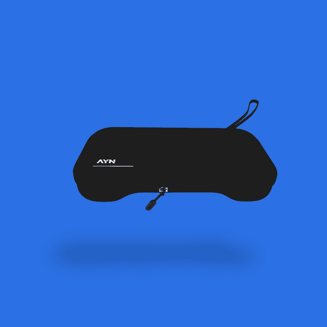 Odin 3 Carrying Case